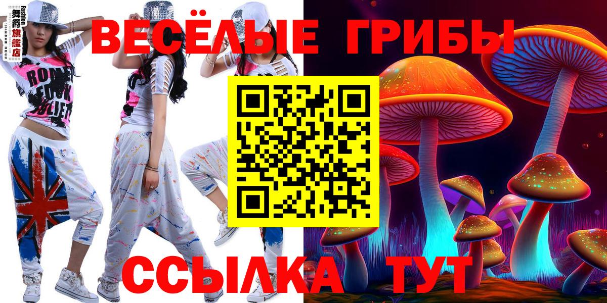 Коркино  Псилоцибиновые грибы Magic Shrooms  закладки  Галлюциногенные грибы MAGIC MUSHROOMS  Вход с VPN 